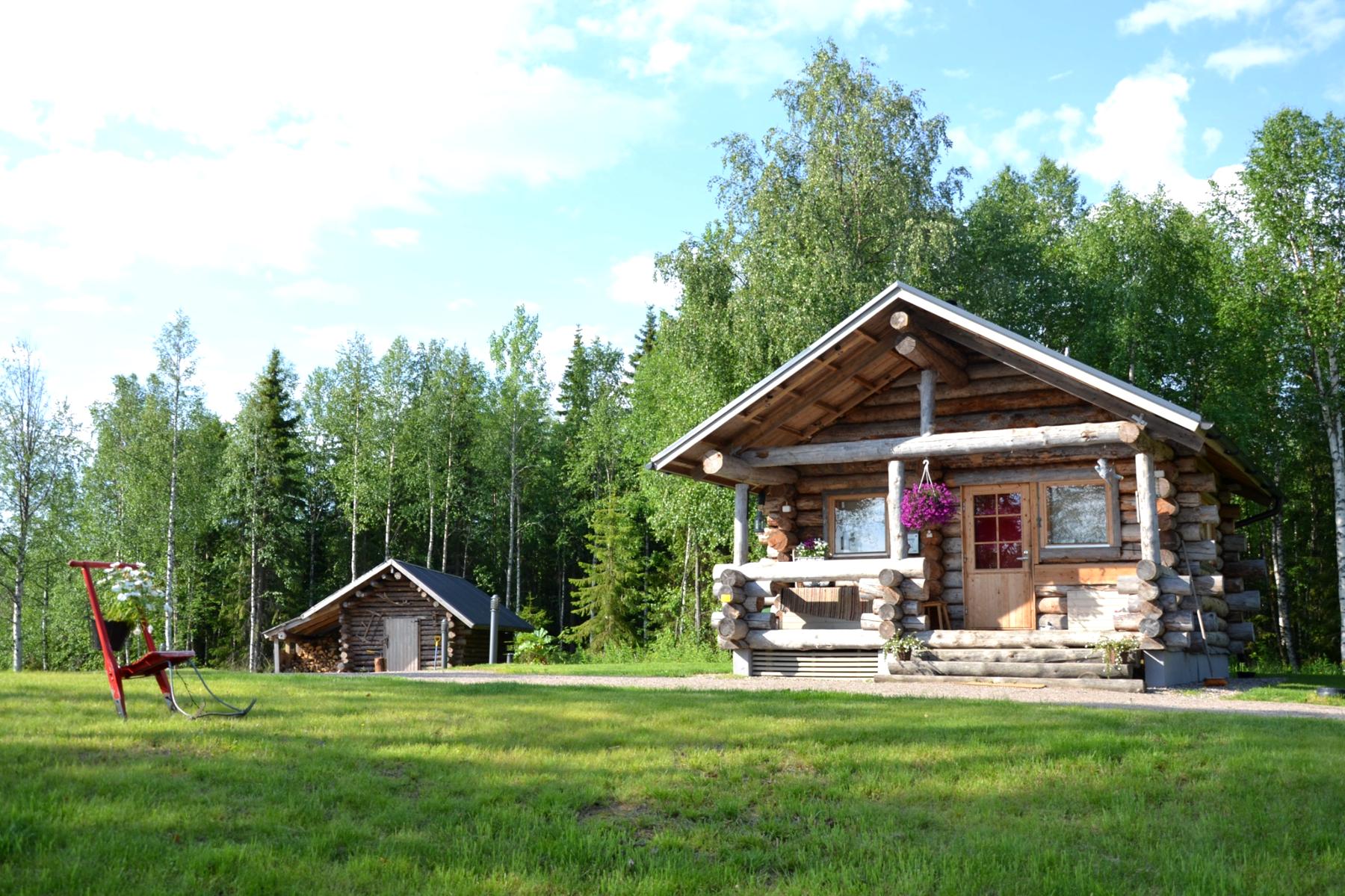 Traditional Finnish log cabin surrounded by forest in summer