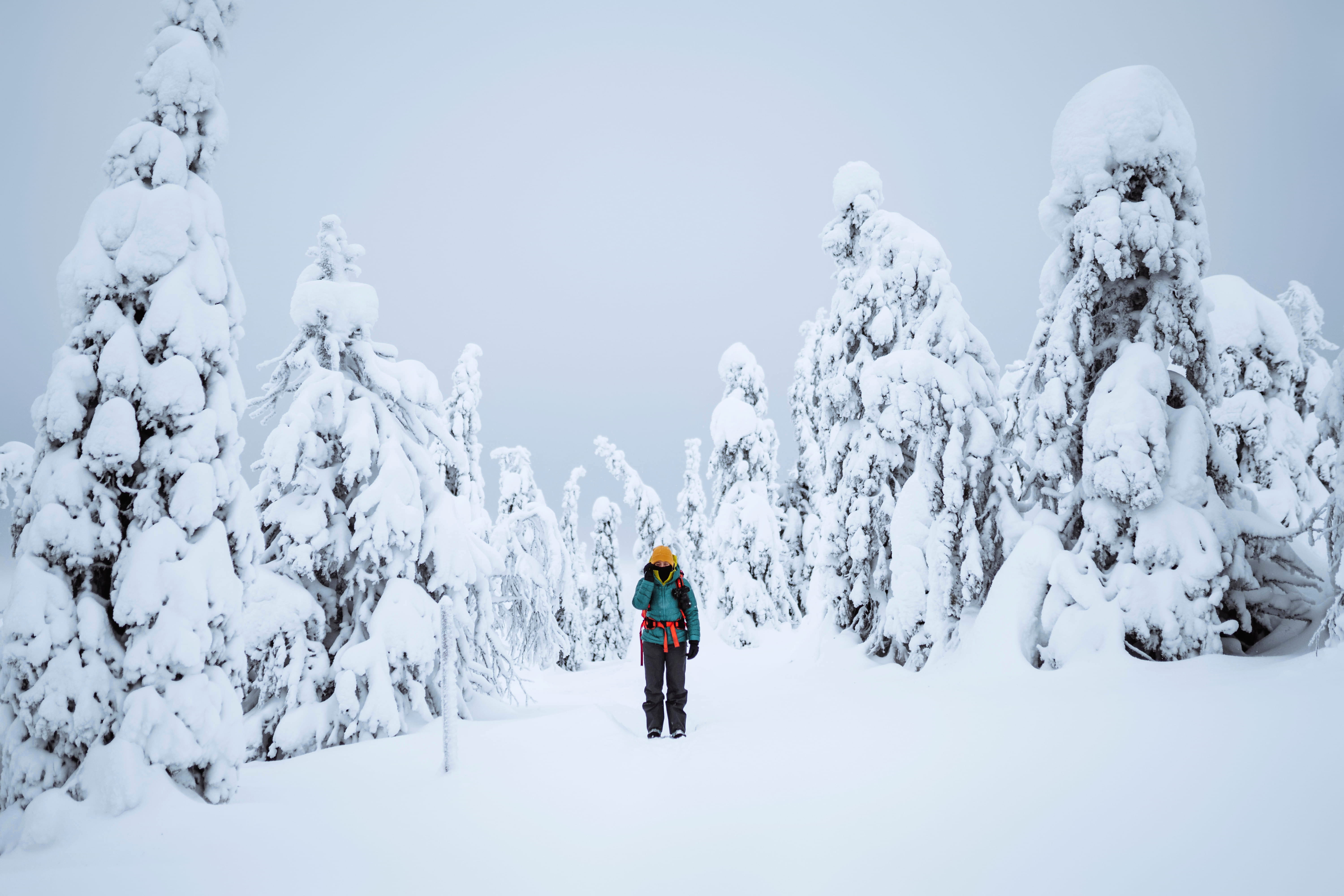 Person walking through a snow-covered forest in Finnish Lapland in winter