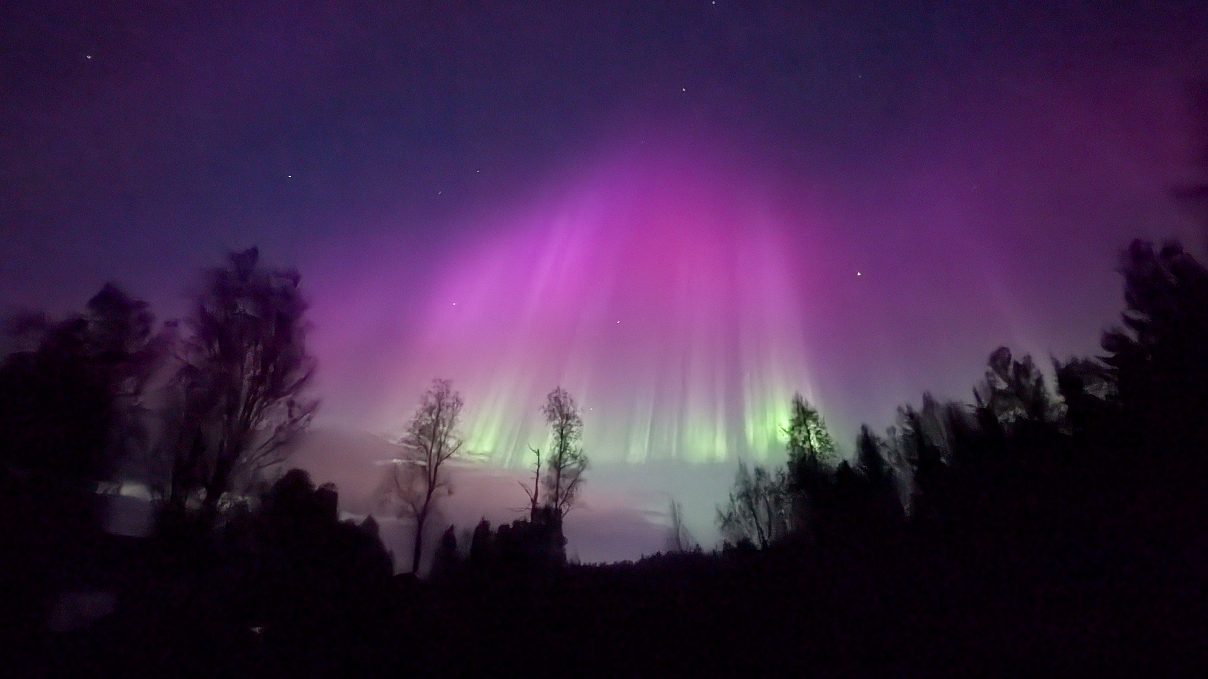 Green and purple Northern Lights above the forest in Finnish Lapland