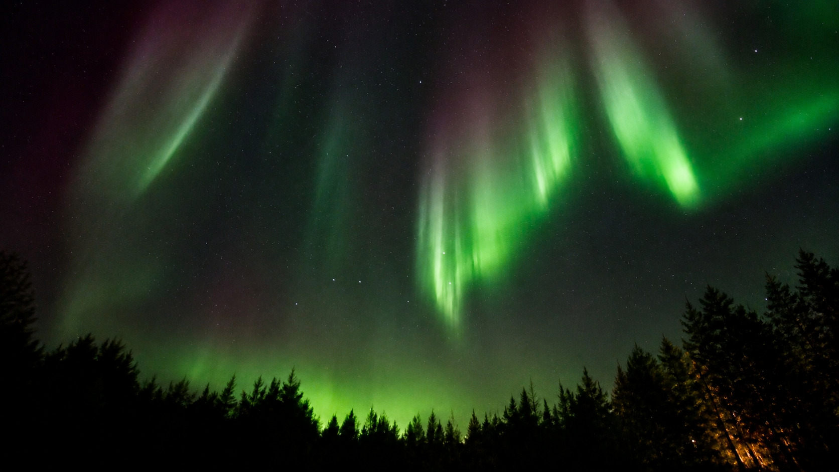 Northern Lights above the forest in Porokari, Finnish Lapland