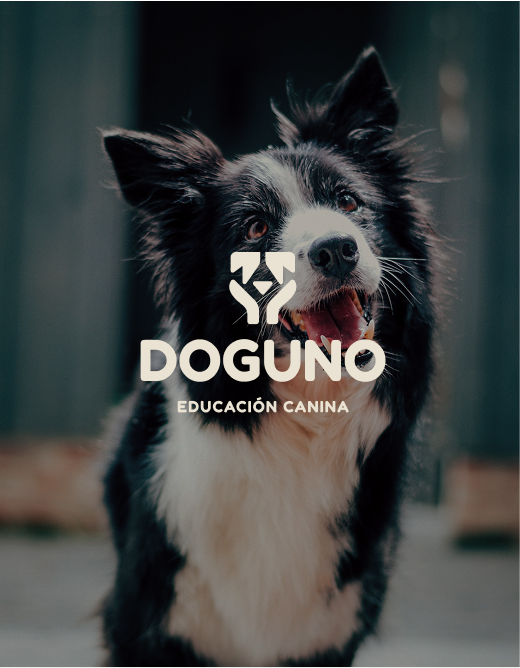 Portfolio image pour Doguno