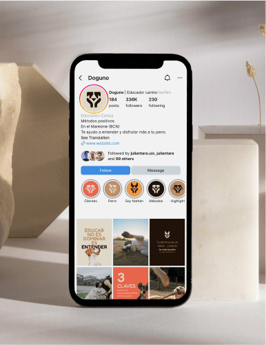 Feed Instagram Doguno