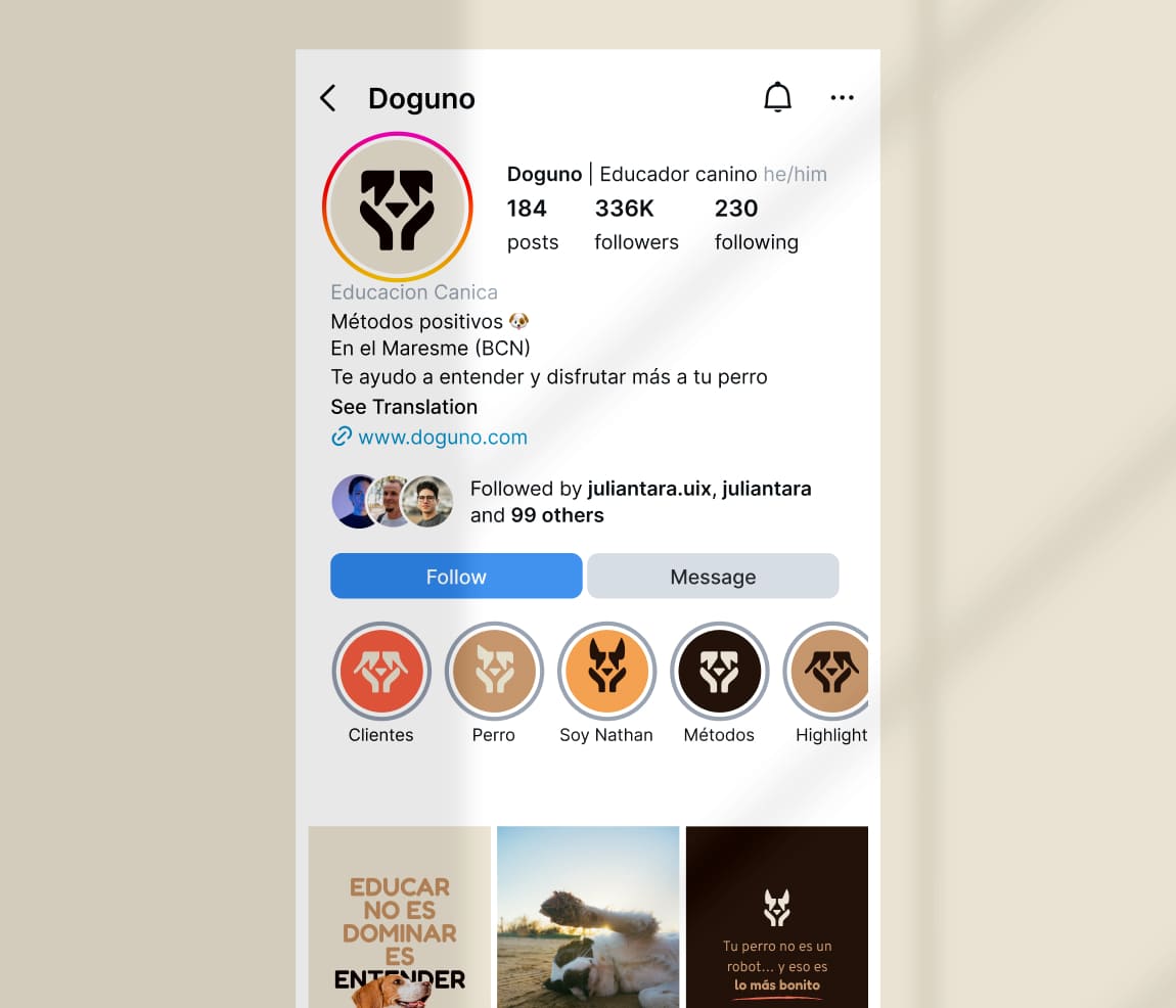 Feed instagram option
