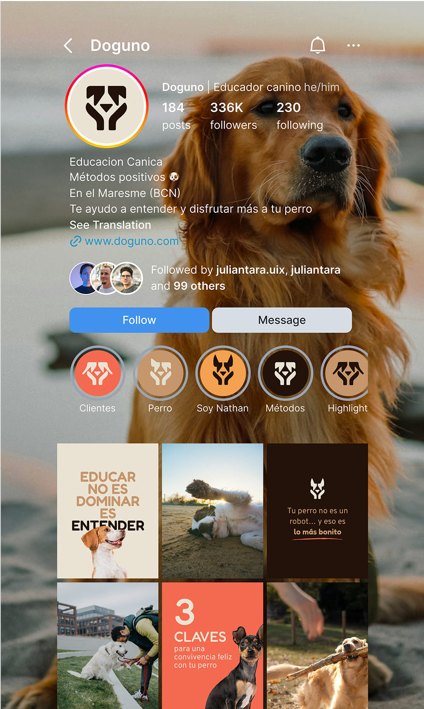 Doguno Feed Instagram