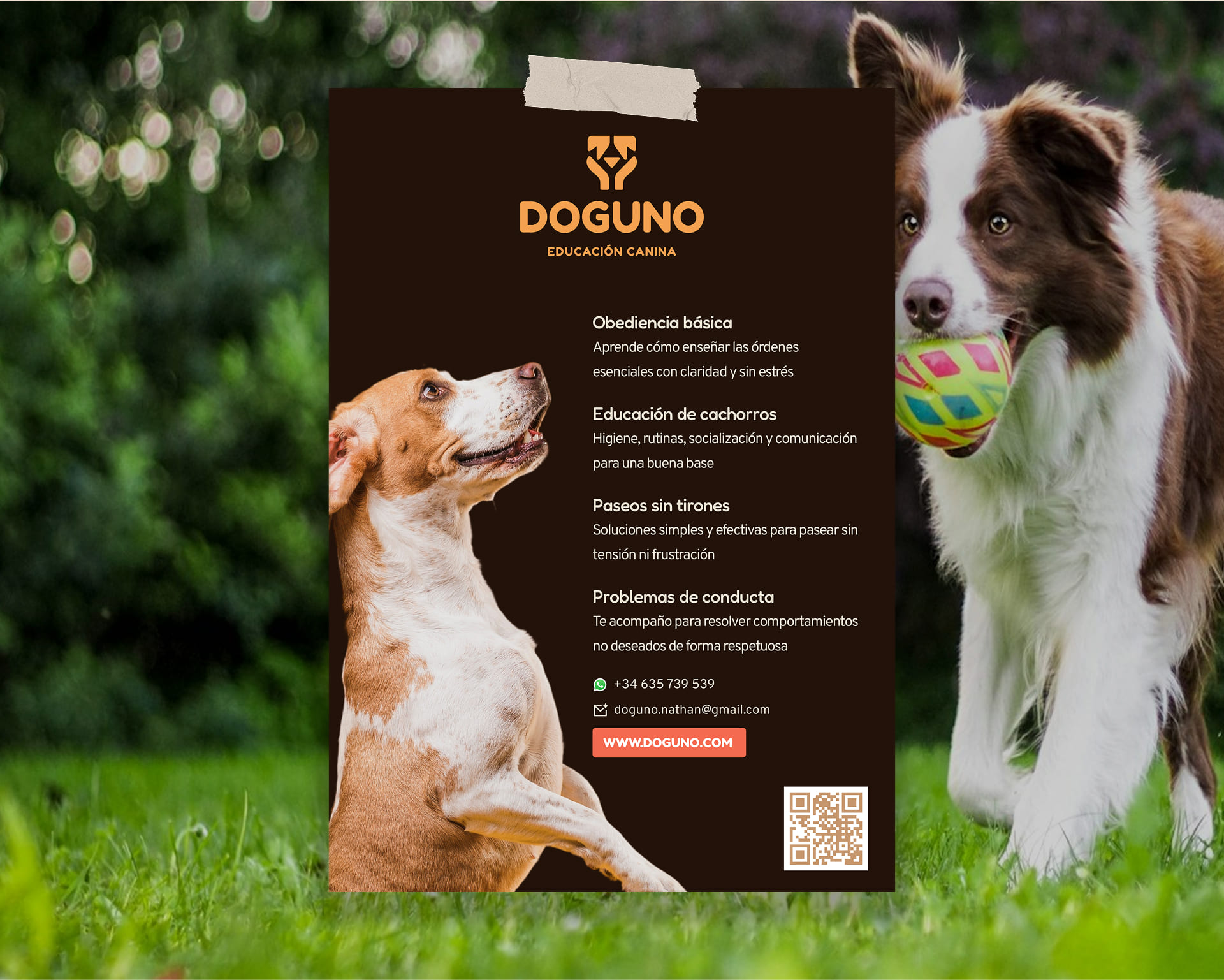 Flyer Doguno