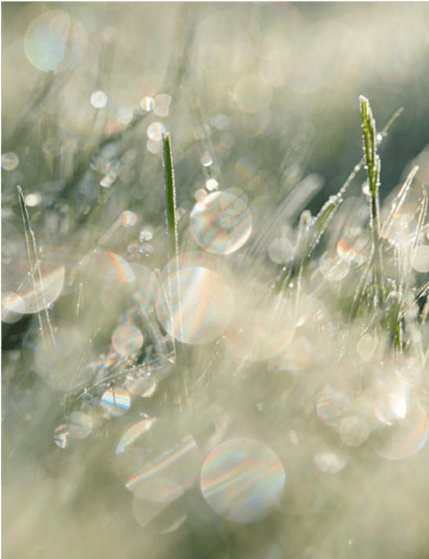 valeur du studio : clarté