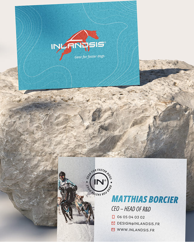 Mockup Carte de visite Inlandsis