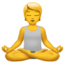 Emoji of a person with short blonde hair sitting cross-legged in a meditative yoga pose with eyes closed, wearing a gray tank top and yellow pants.


