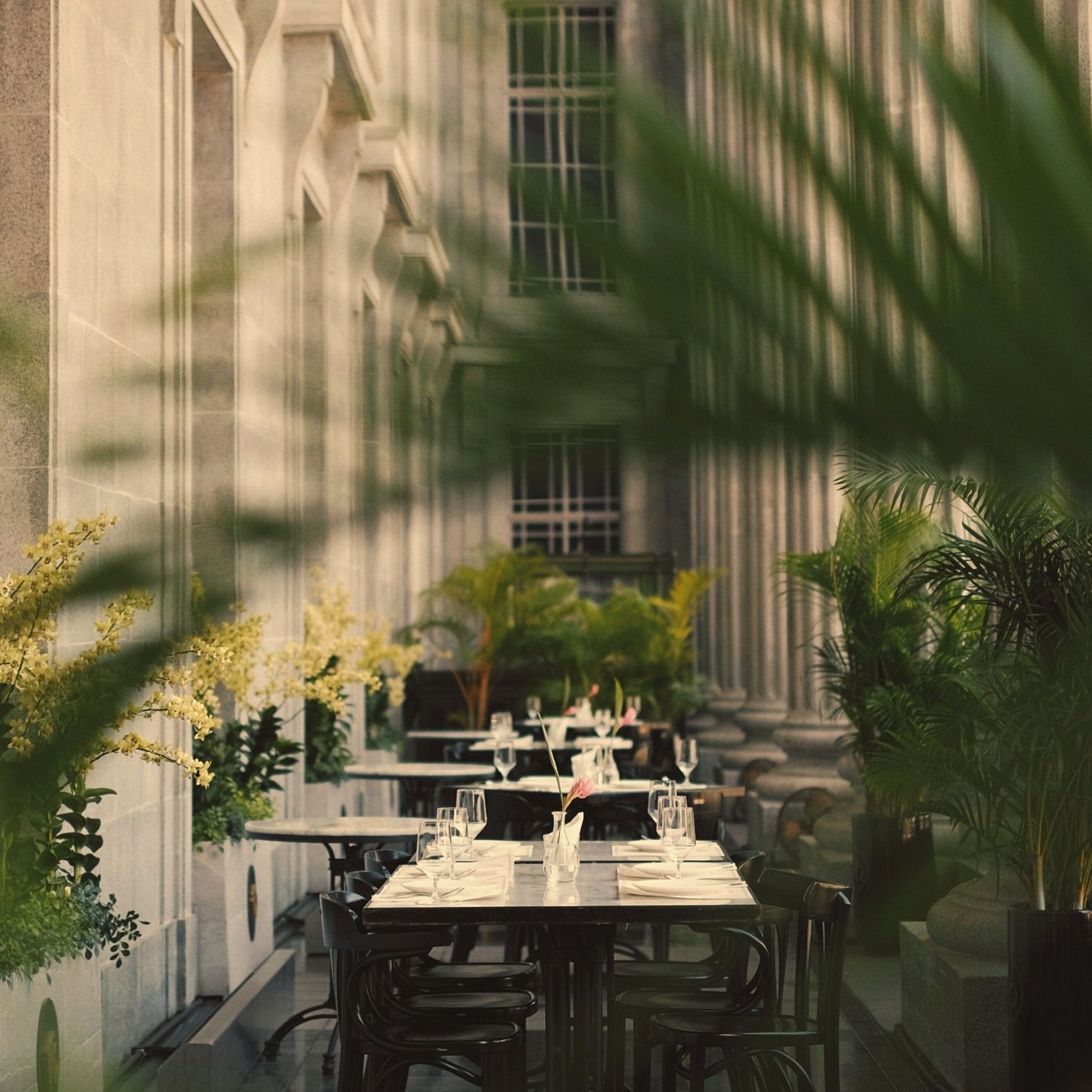 [background image] image of breakfast table setting (for a bed & breakfast)