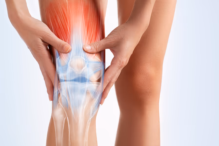 knee pain visualized