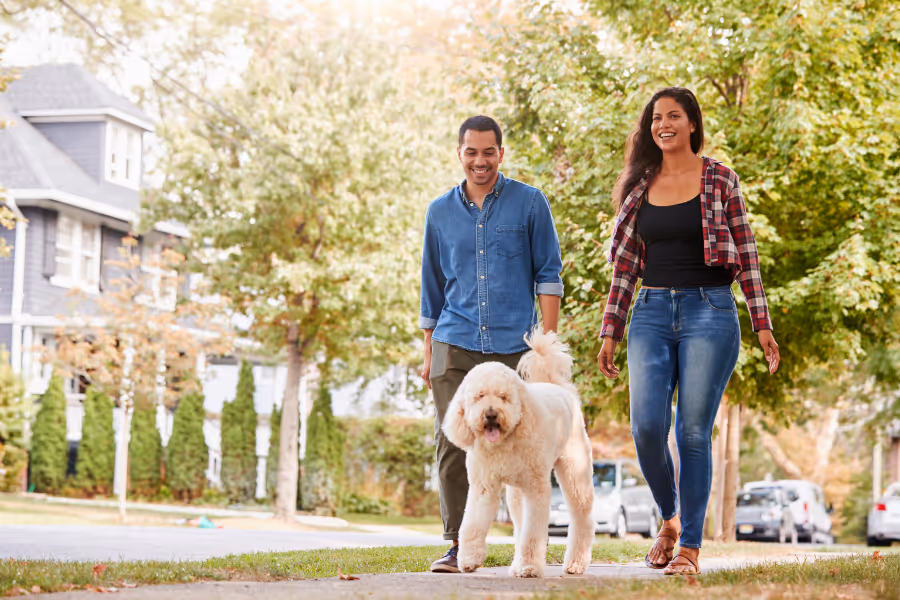 Man and woman walking with doodle in suburban neighbourhood