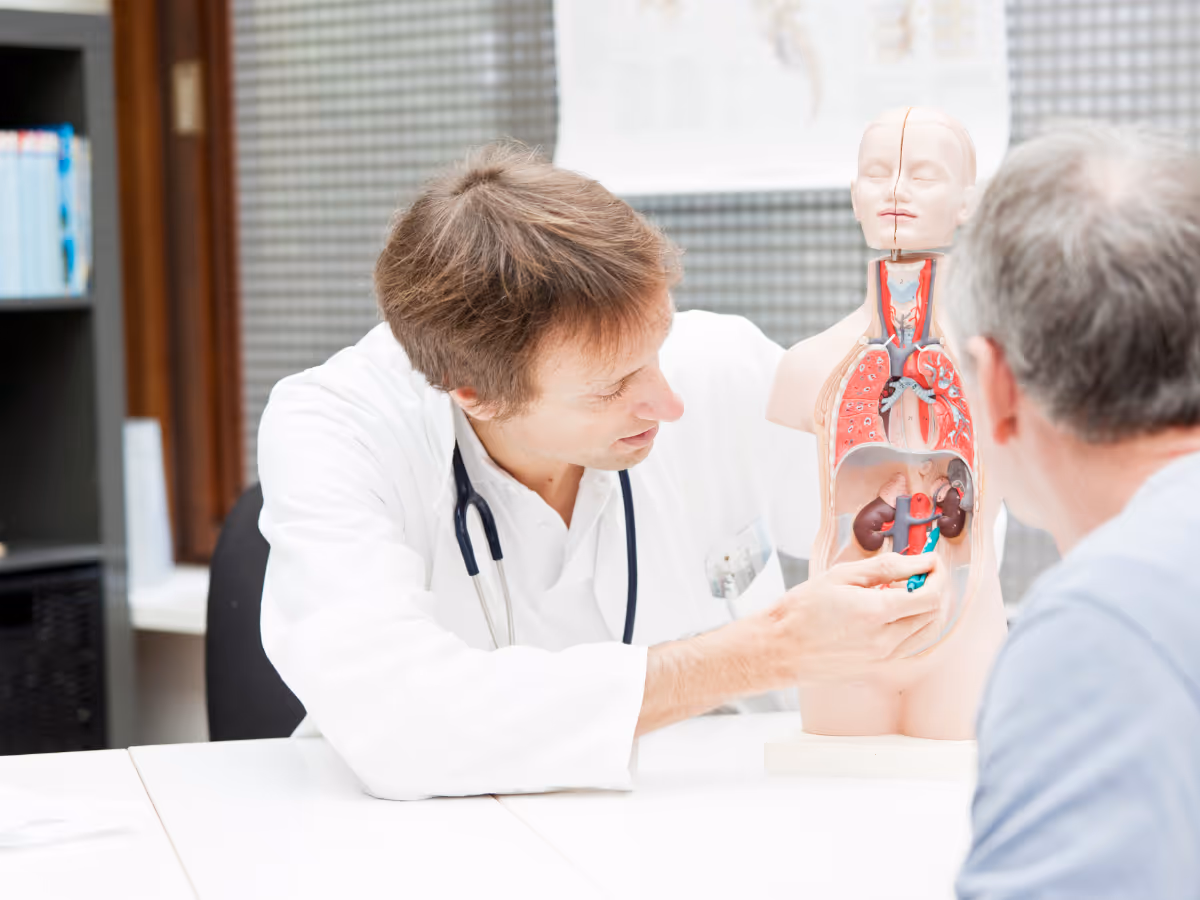 Private urologist consulting with prospective patient, pointing at kidneys on a diagram