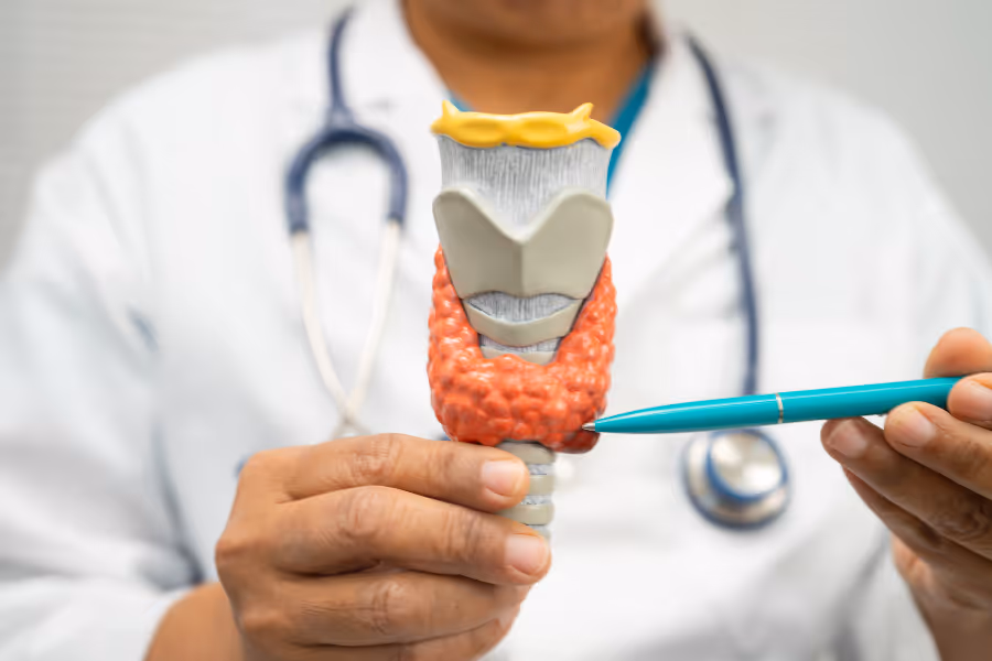 Thyroid surgeon pointing to thyroid diagram
