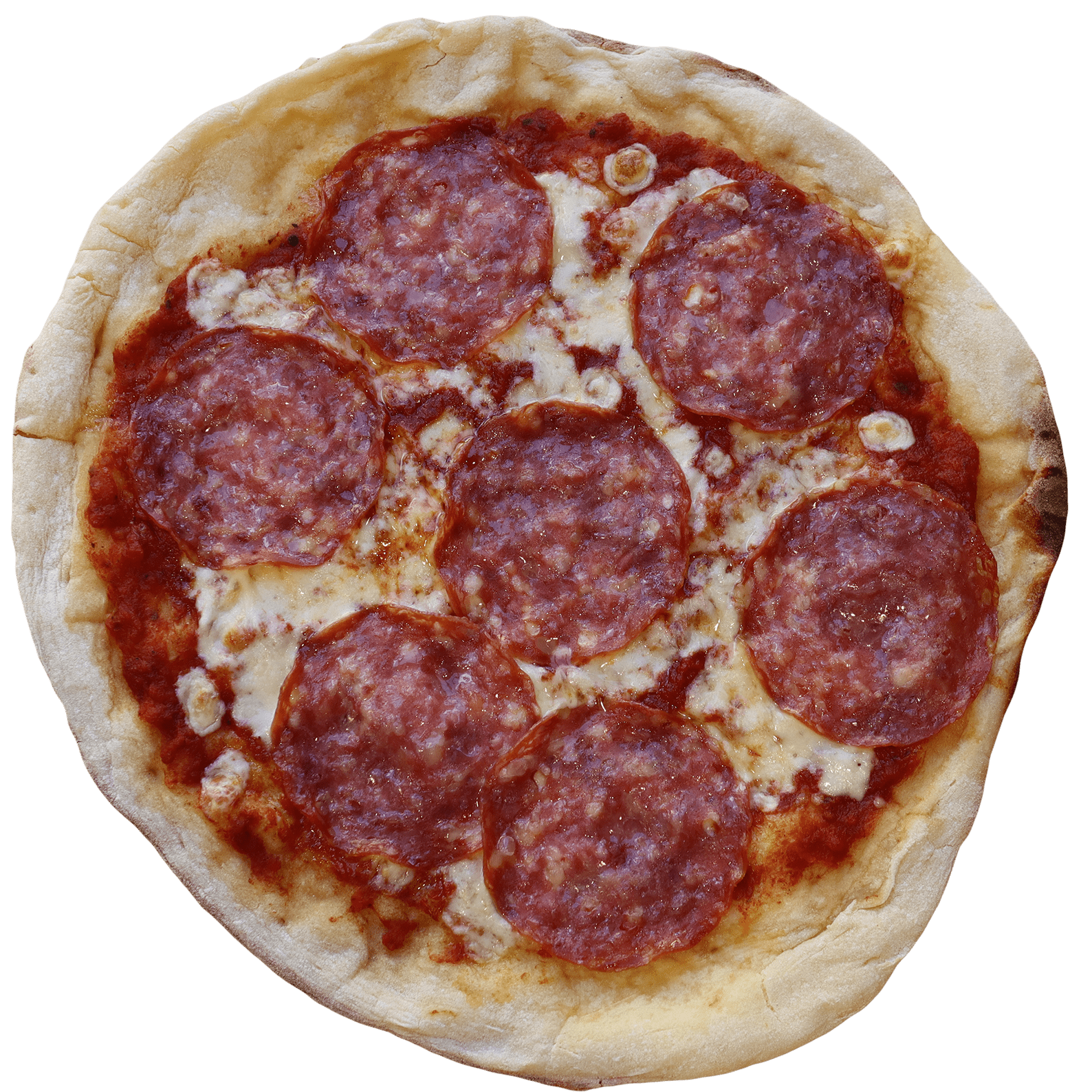 Italian style pizza with fresh cheese, herb, and small colourful tomatoes