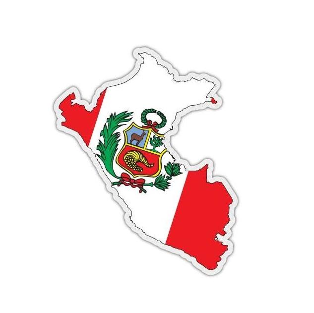 PUCE simulación gestión