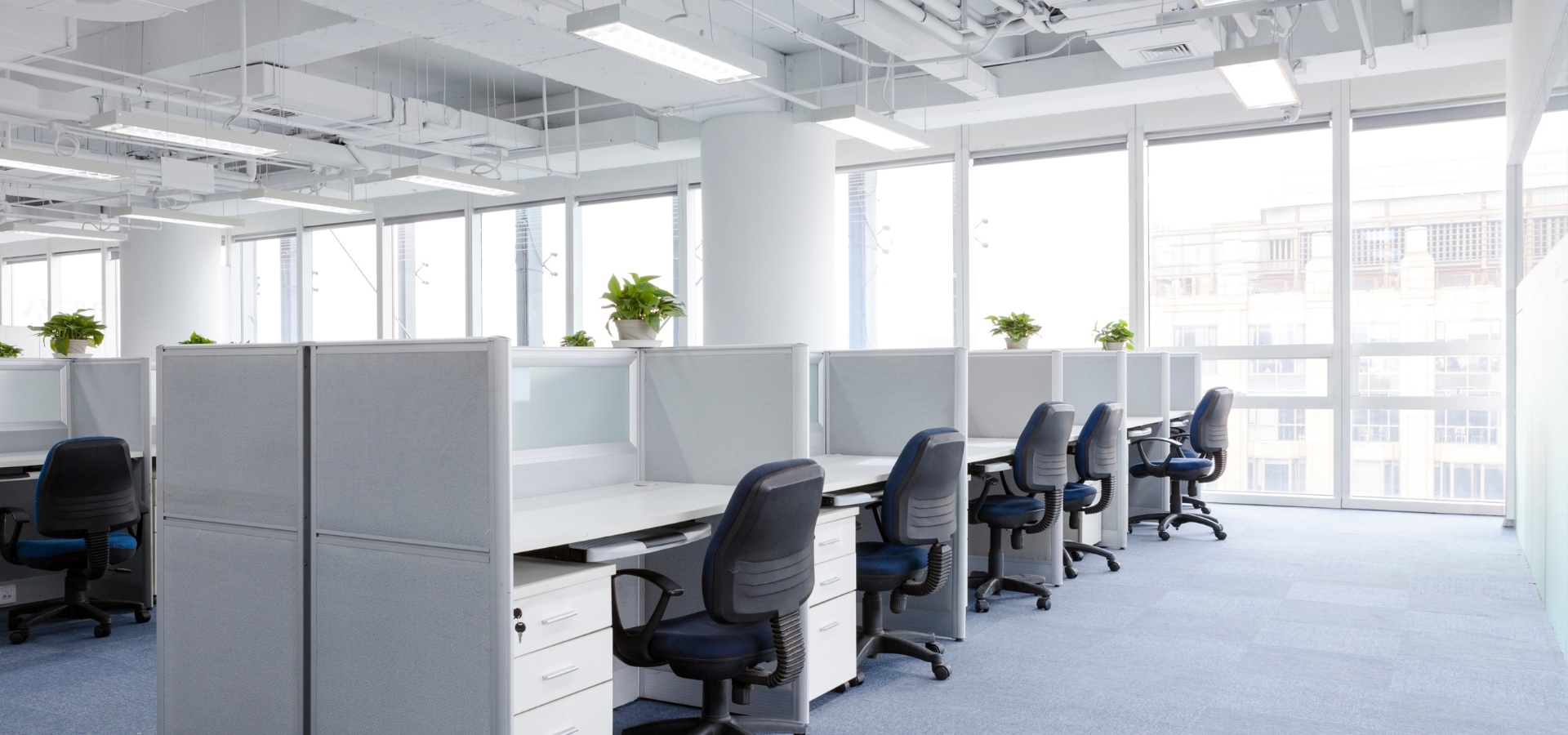 [background image] image of company office building (for a accountant & cpa firm)
