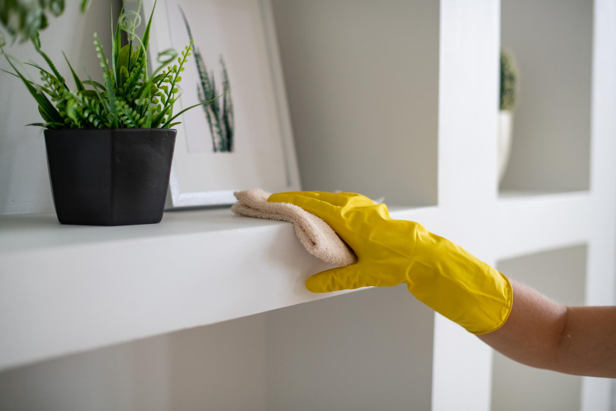 [background image] image of modern auto shop