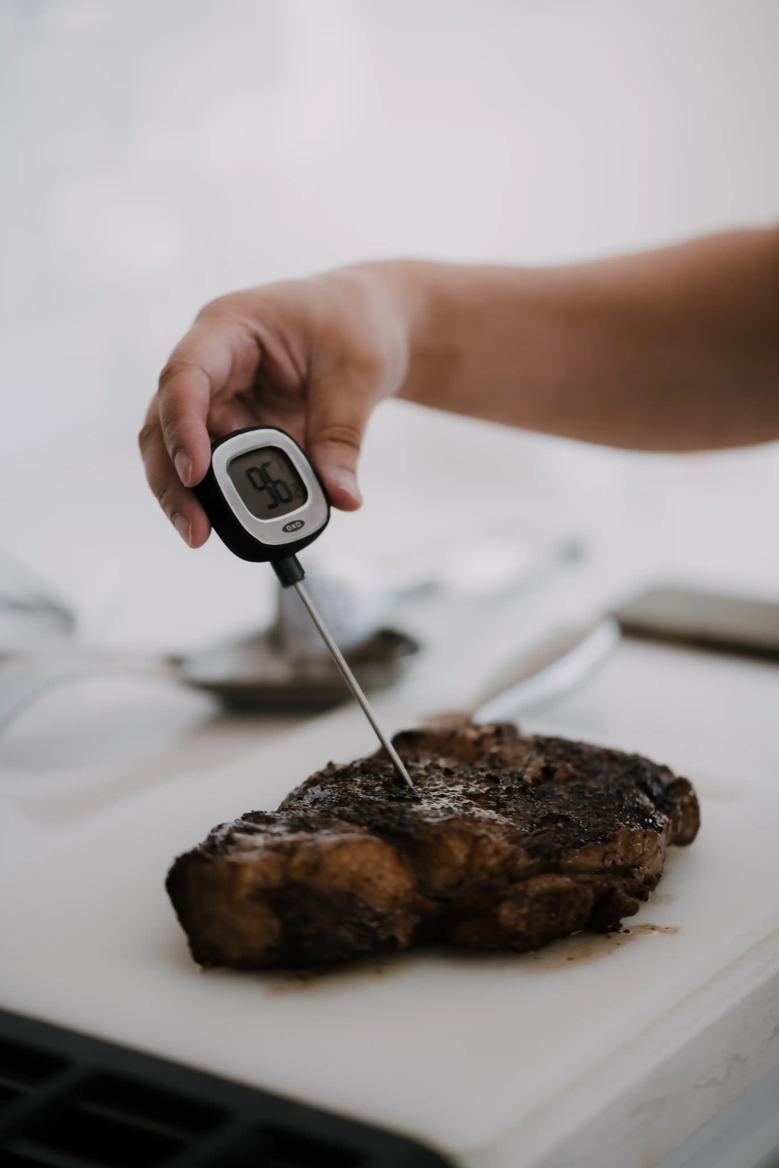 Kitchen thermometers