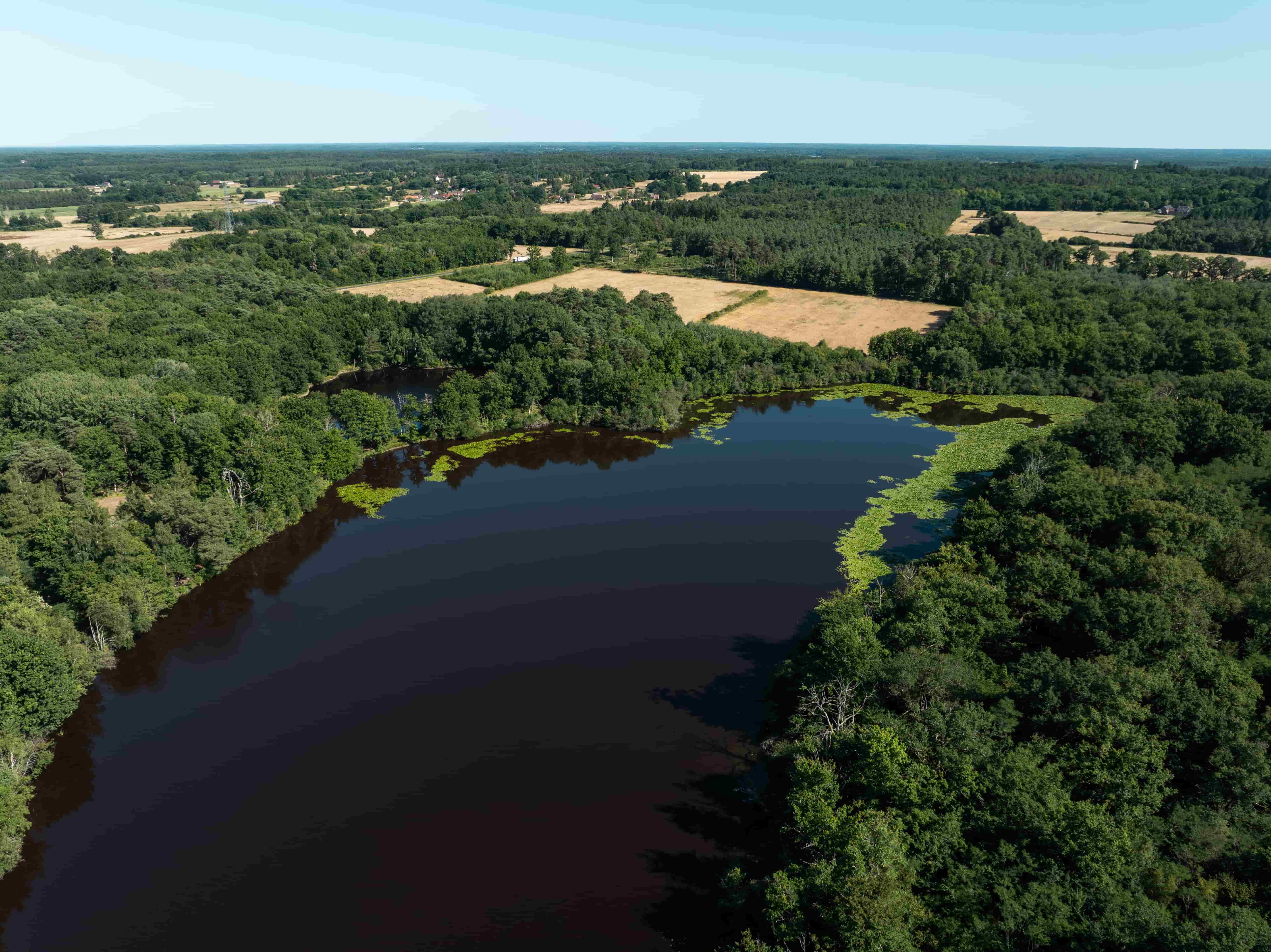 Etang des Veillas à Dhuizon @Valentin Lauféron