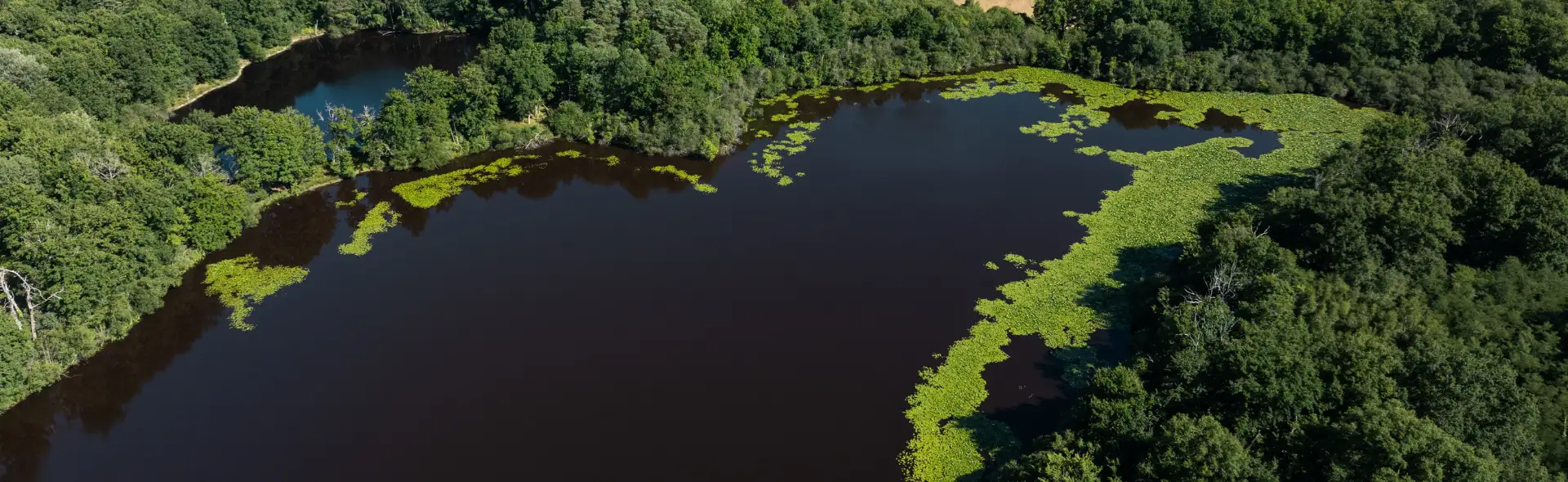 Cabanes des Veilleurs - Loir et Cher