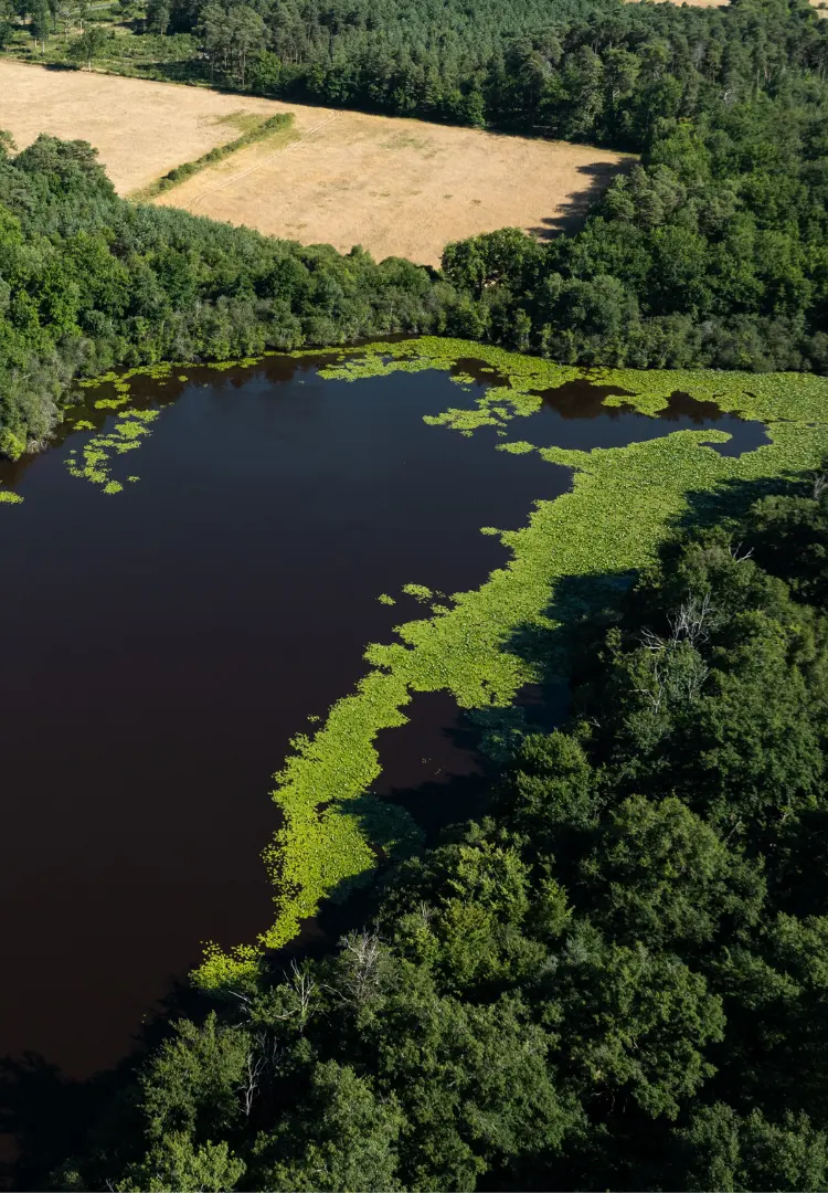 Cabanes des Veilleurs - Loir et Cher
