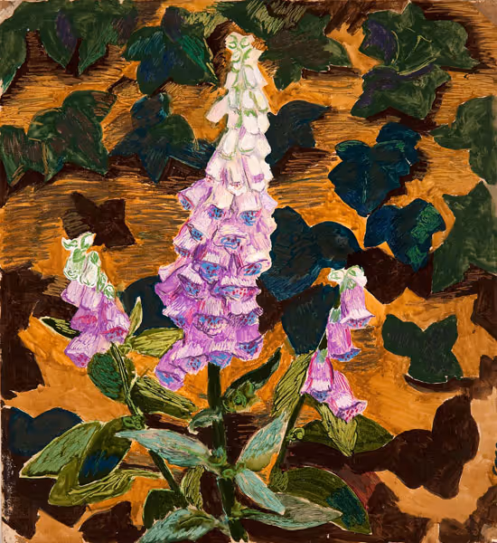 Foxgloves