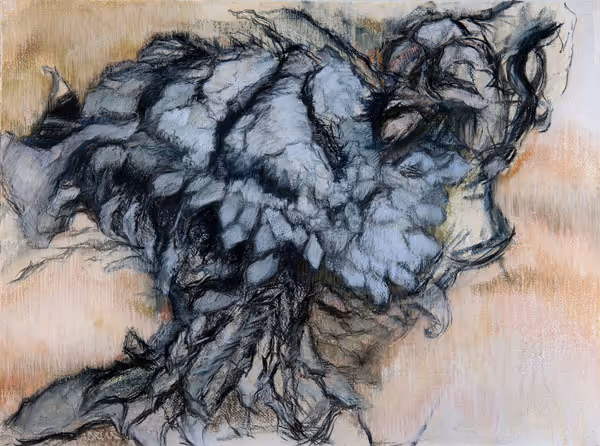 Janice Wilke: Sunflower (1998) Pastel on paper