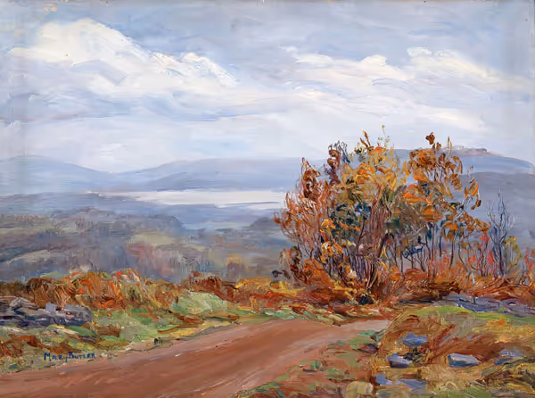 Woodstock Valley from Meads-Wet Weather