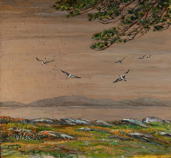 Frenchman's Bay-Mt. Desert (Maine)