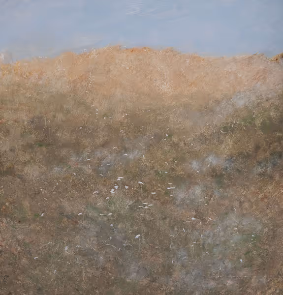 Study: Exton Tiptych: Prospect, Leaves, Lights-February 2000