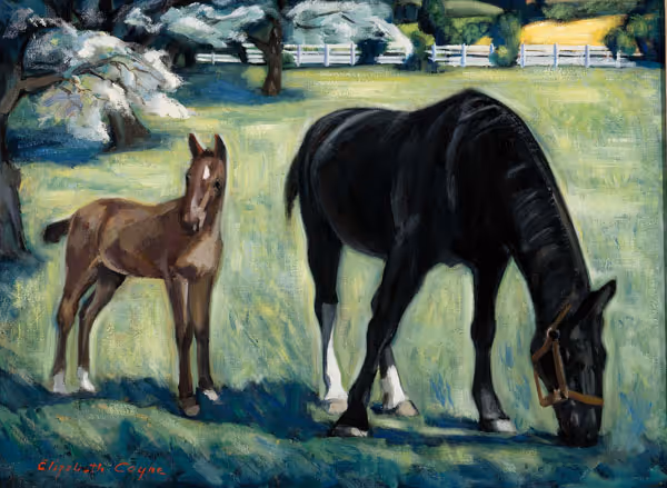 Elizabeth Kitchenman Coyne: Martin's Hackeys (Undated) Oil on canvas
