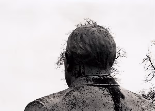 [Head of sculpture seen from behind with tree branches in distance]