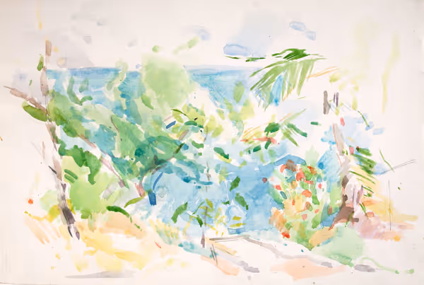 Mediterranean Landscape (France)