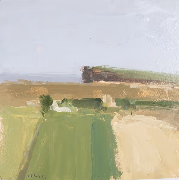 Fields Near Ballycastle I