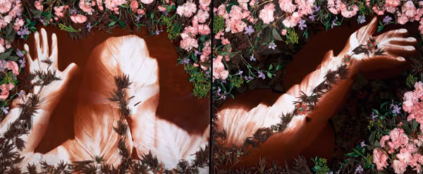 Reach: Rittenhouse Square