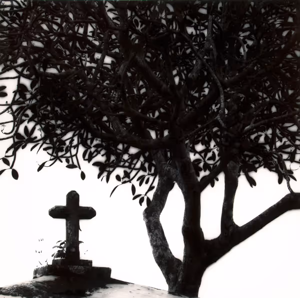 Hidemi Yokota: Untitled, St. John, Barbados (1990) Gelatin silver print