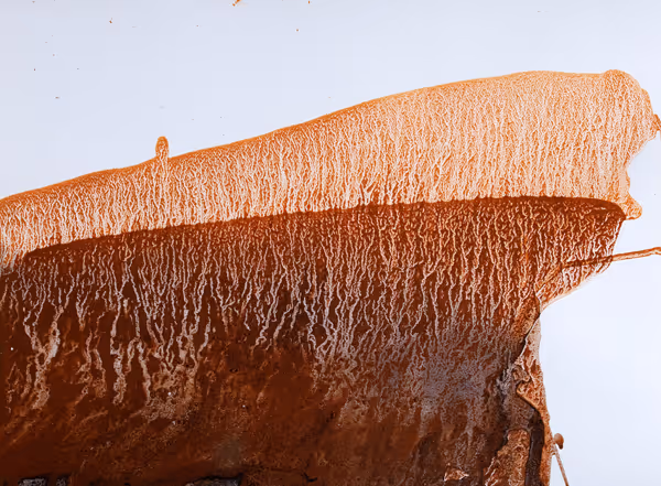 Elaine Kurtz: Untitled (1999) Alabama red dirt and acrylic on Lanquarelle paper