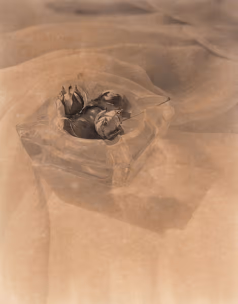 Thomas Shillea: Untitled (c. 1983) Palladium print