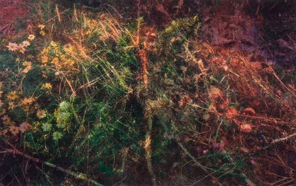 Thomas Porett: Digital Landscape (1995) Digitalized photograph