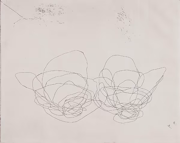 Jill Bonovitz: Raveling (2004) Etching ed. 50