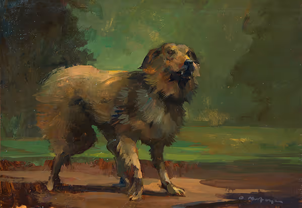 Dog Study