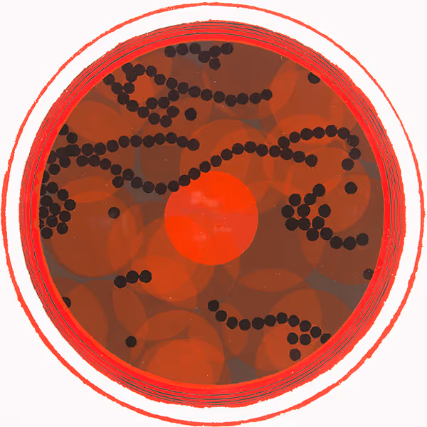 Red Star P.C.P. no. 1