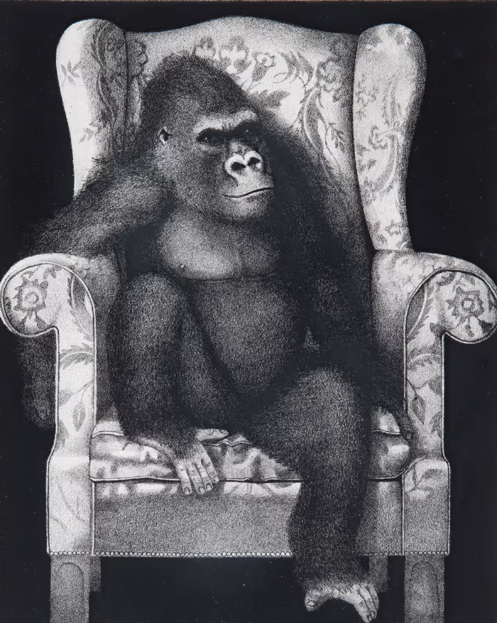 Untitled (Gorilla in Upholstered Chair)