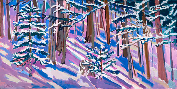 Woods behind the Cabin