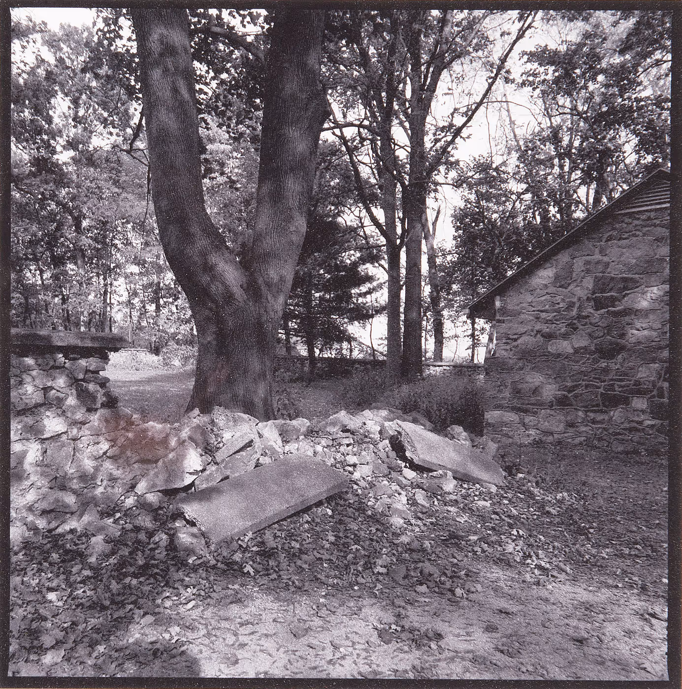 Schuylkill Friends Meetinghouse Grounds