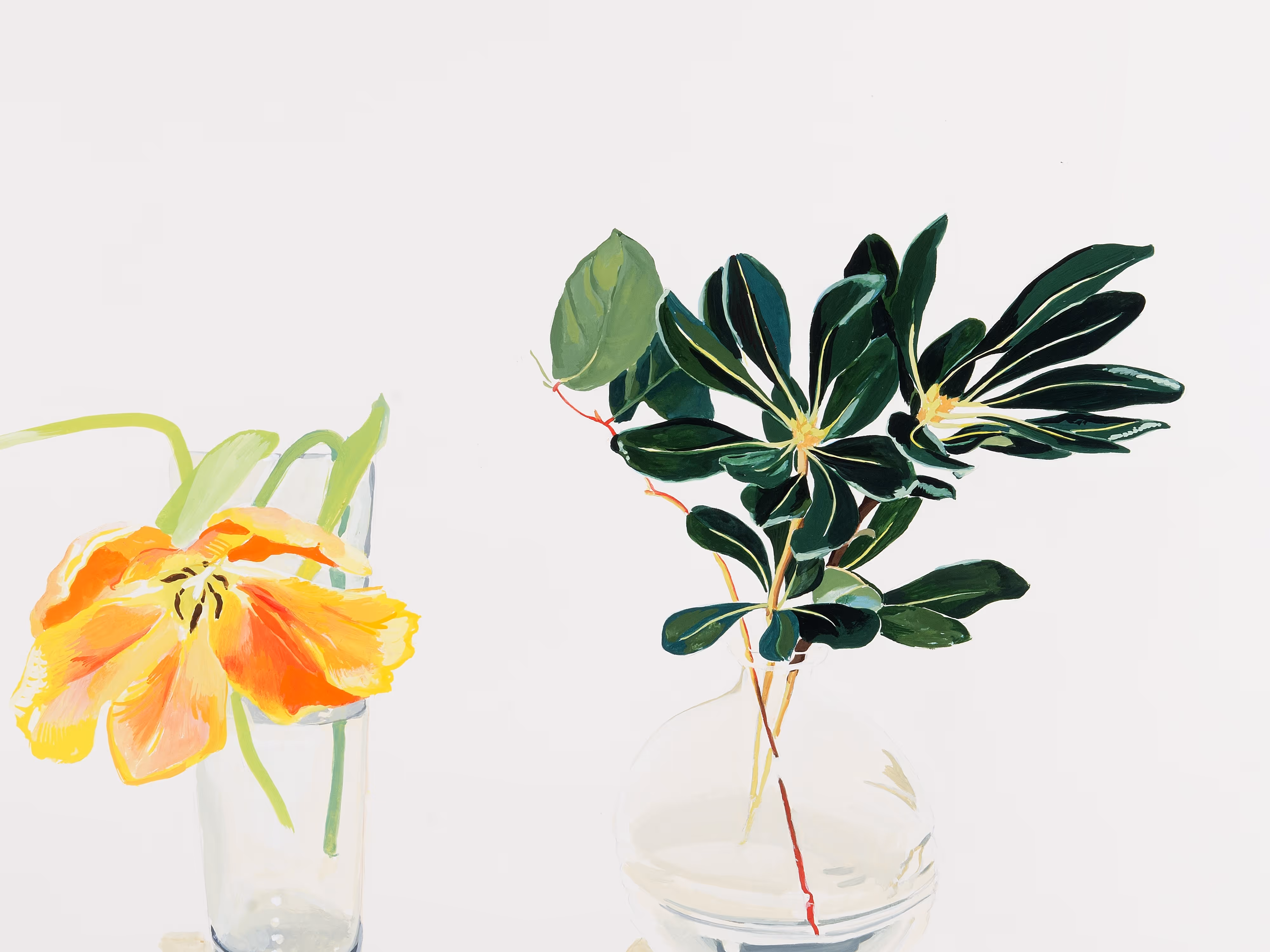 Still Life with Tulip