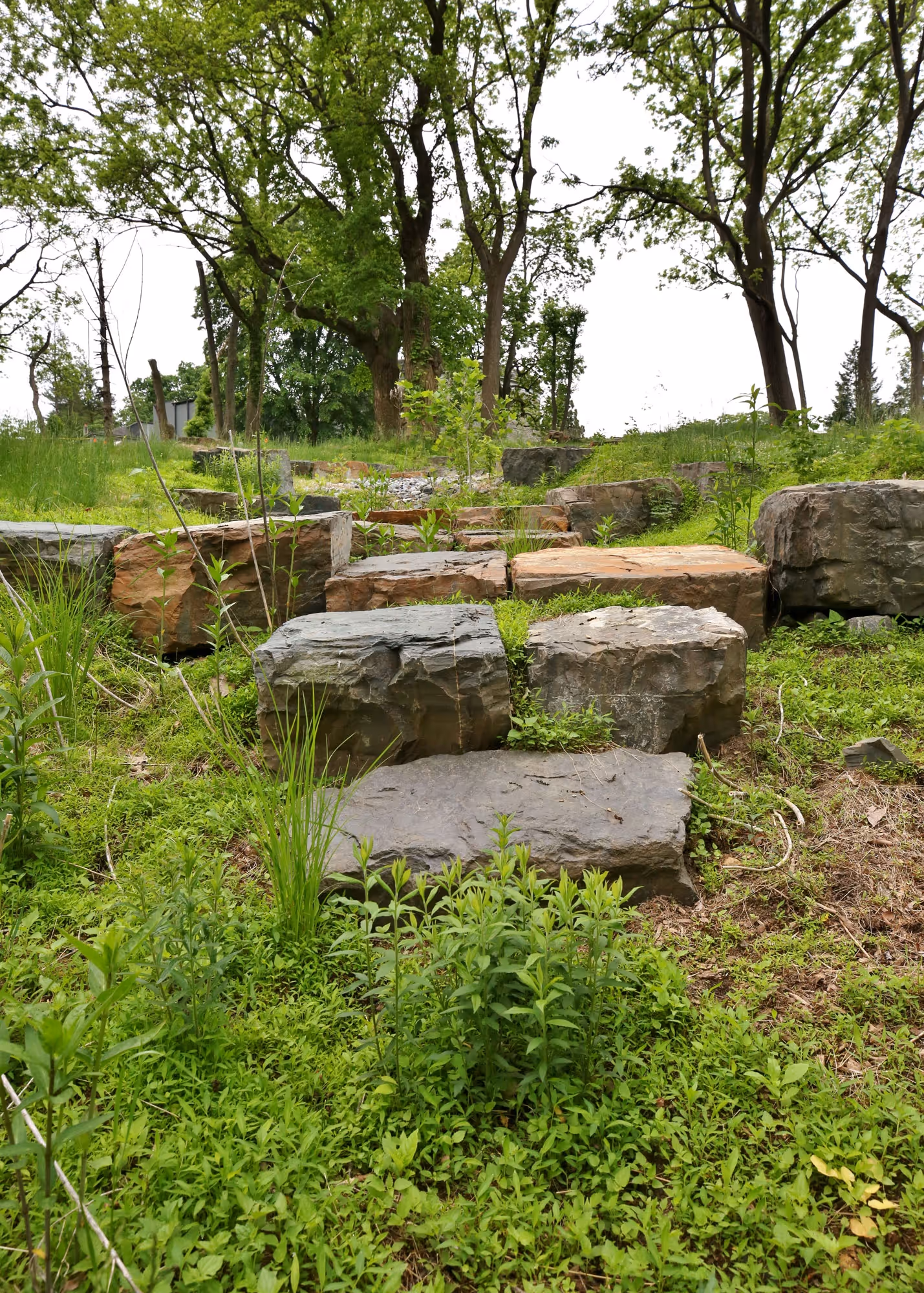 Bioswale, Step Pools, and Pennsylvania Bluestone