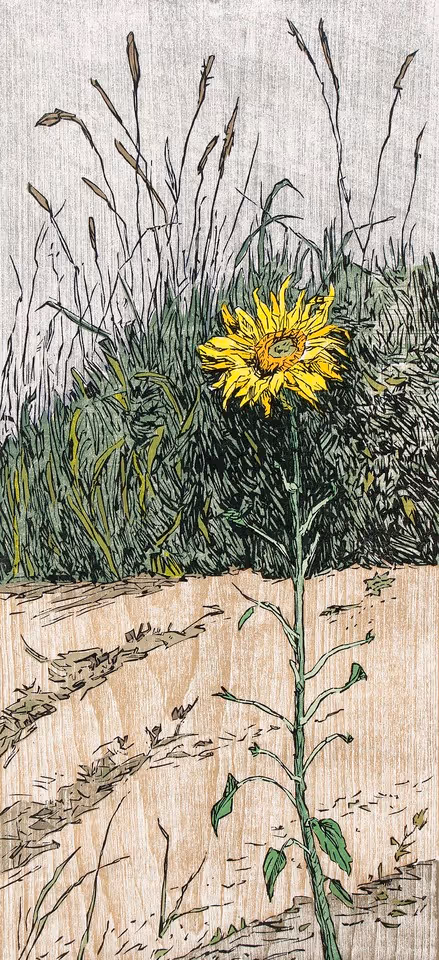 Yellow on Young’s Point