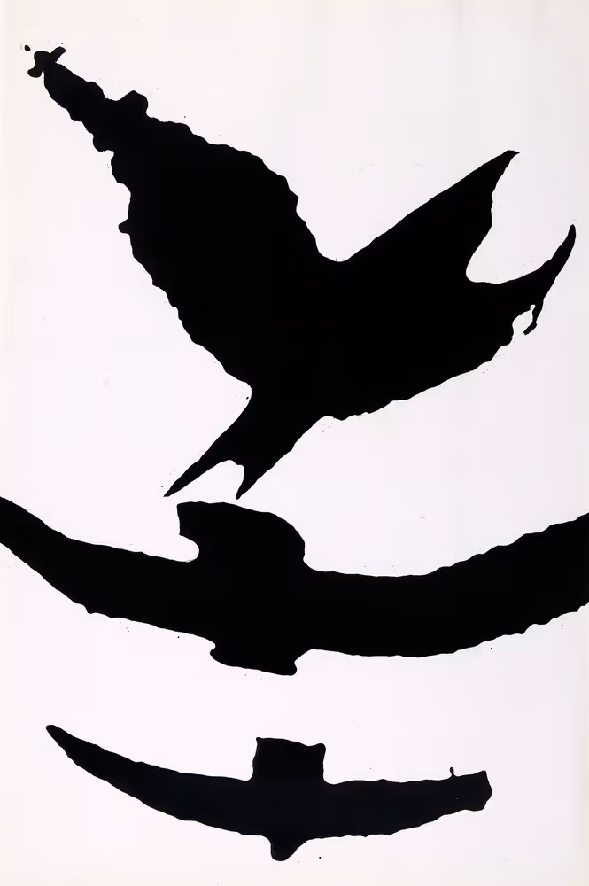 Birds over the Schuylkill