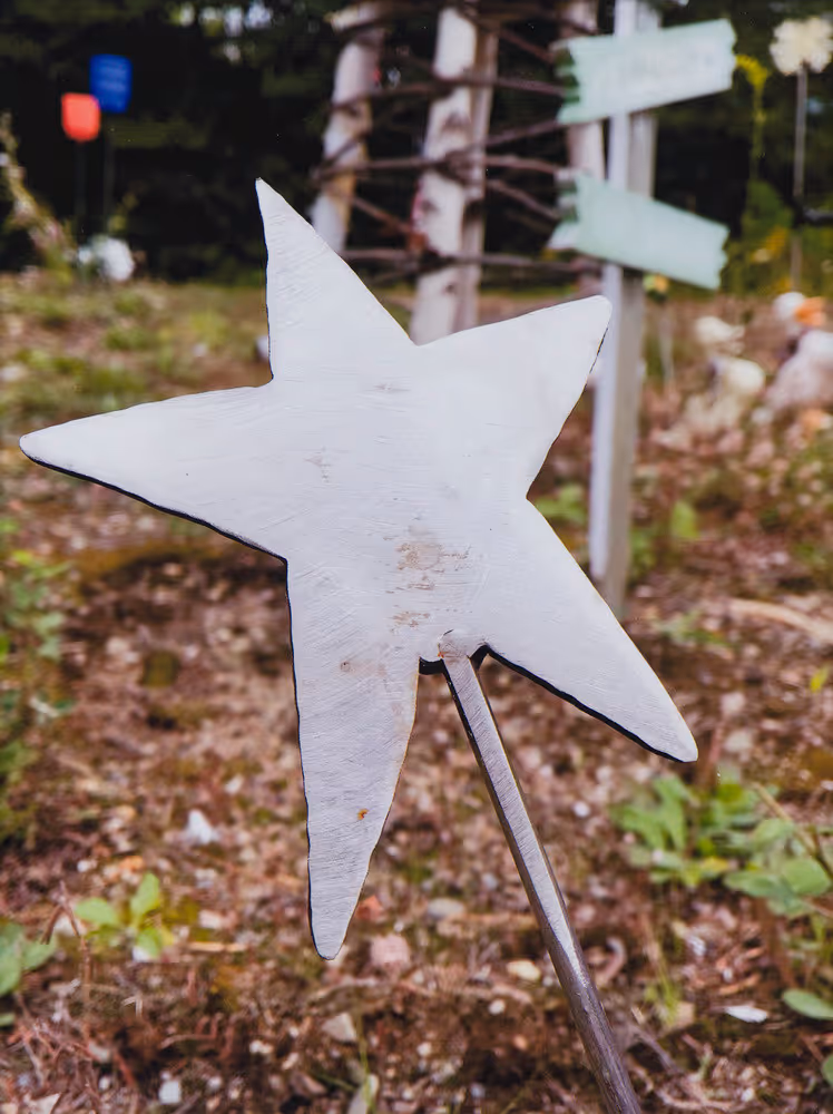 A Trip to the Brooks Transfer Station #1